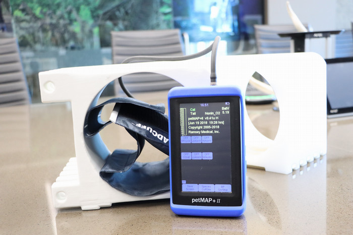 A gorilla blood pressure cuff.